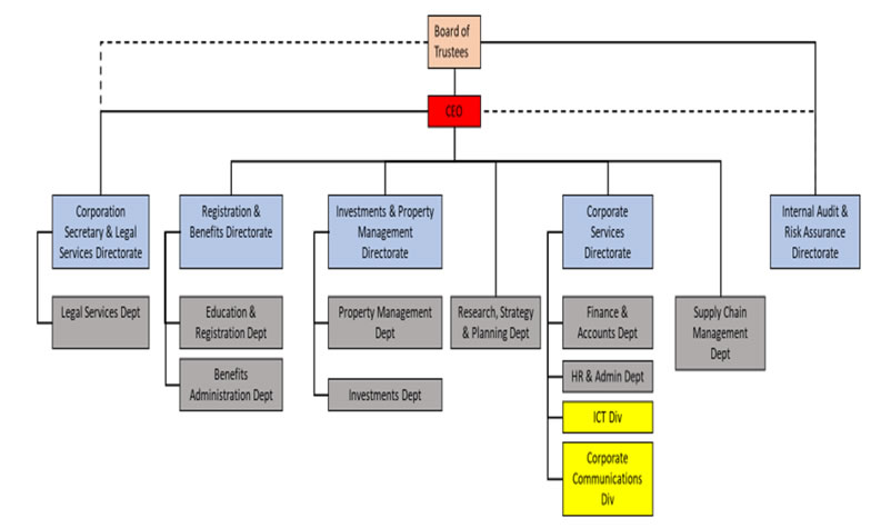 Organization structure